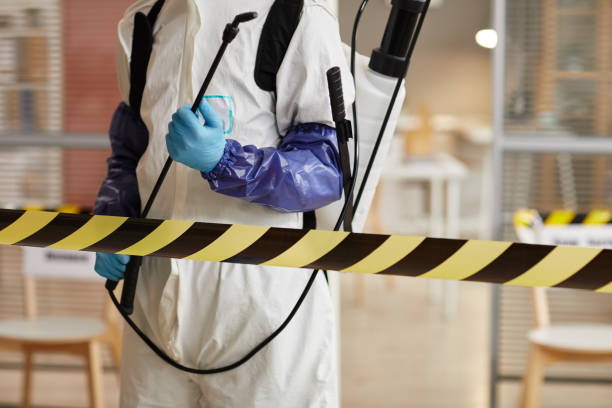 Professional Sewage Cleanup technician working in Mooreland, IN